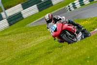 cadwell-no-limits-trackday;cadwell-park;cadwell-park-photographs;cadwell-trackday-photographs;enduro-digital-images;event-digital-images;eventdigitalimages;no-limits-trackdays;peter-wileman-photography;racing-digital-images;trackday-digital-images;trackday-photos